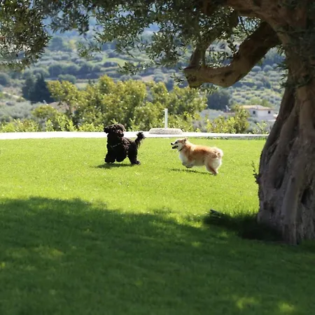 Βίλα Maria Chiaramonte Gulfi